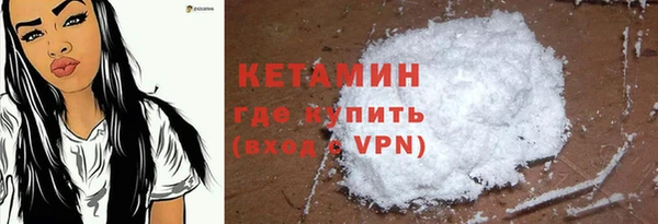 прущие грибы Бородино
