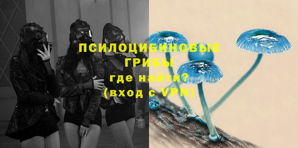 герыч Бронницы